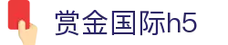 赏金国际h5